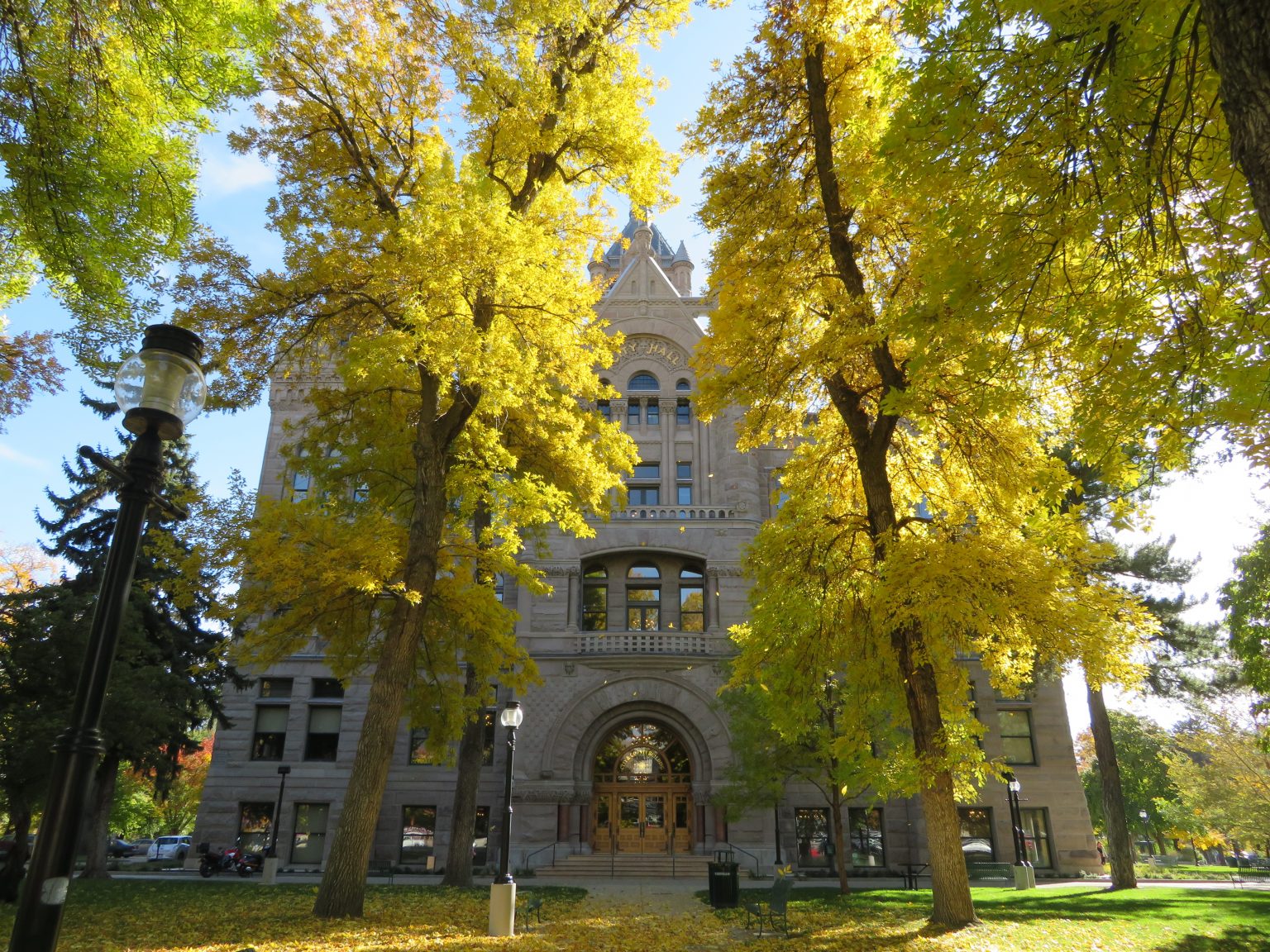 Organization Public Services