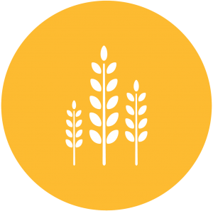 sustainable food icon