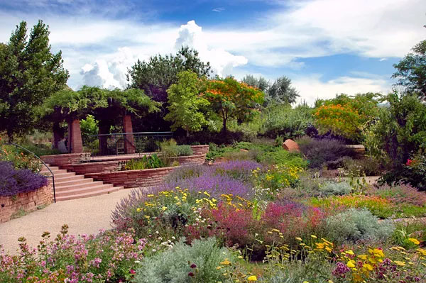 photo of Xeriscaped garden