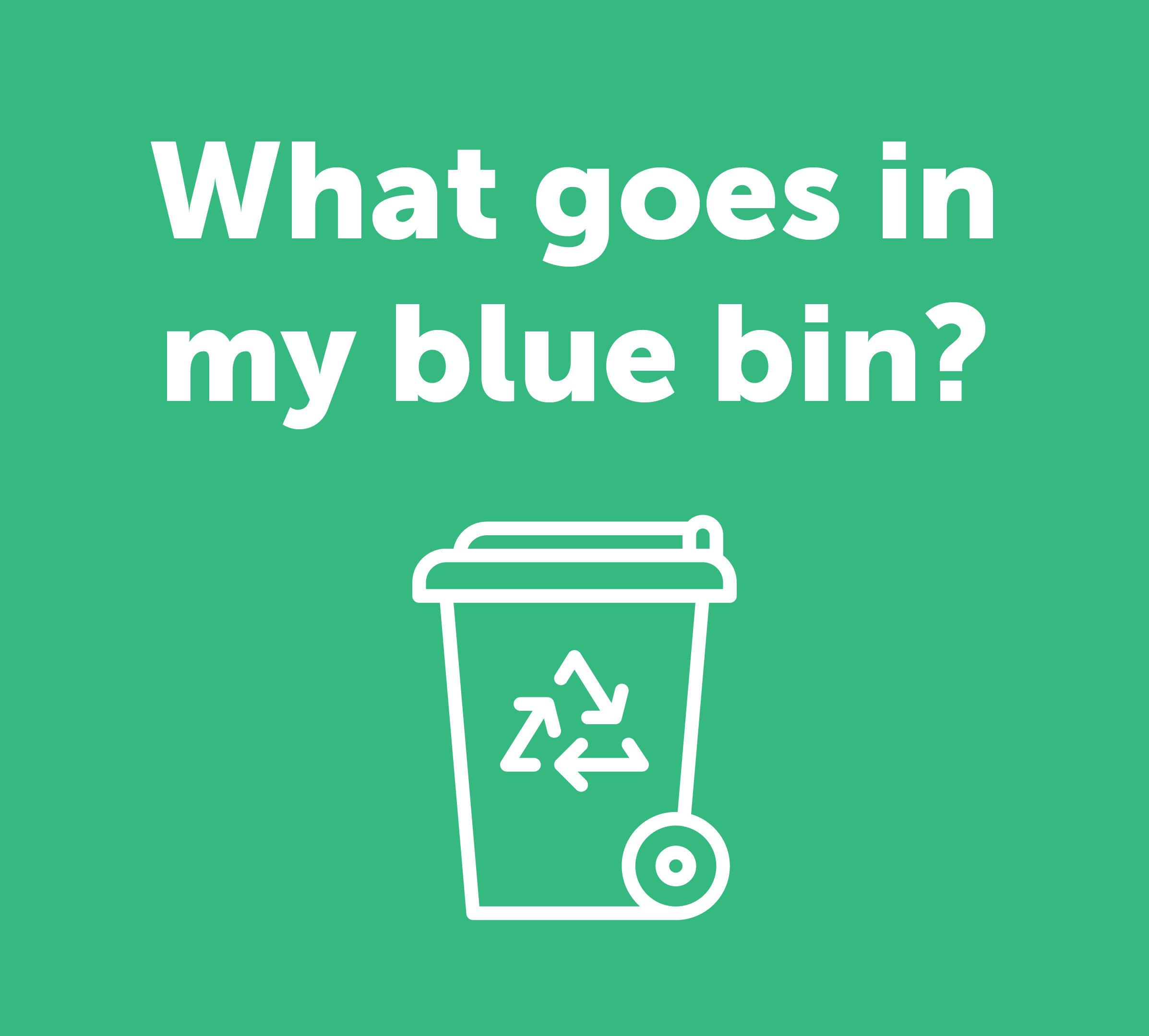 blue bin software