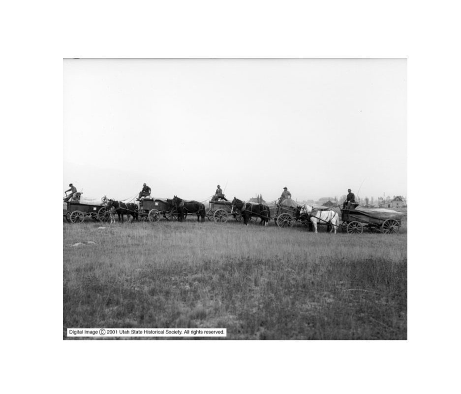 Photograph of five horse-drawn garbage wagons operated by the Board of Health in 1915 for waste collection. 