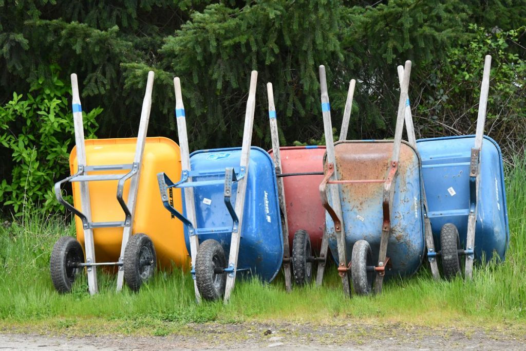 Photo of multicolored wheelbarrows lined up in the grass along a park trail.