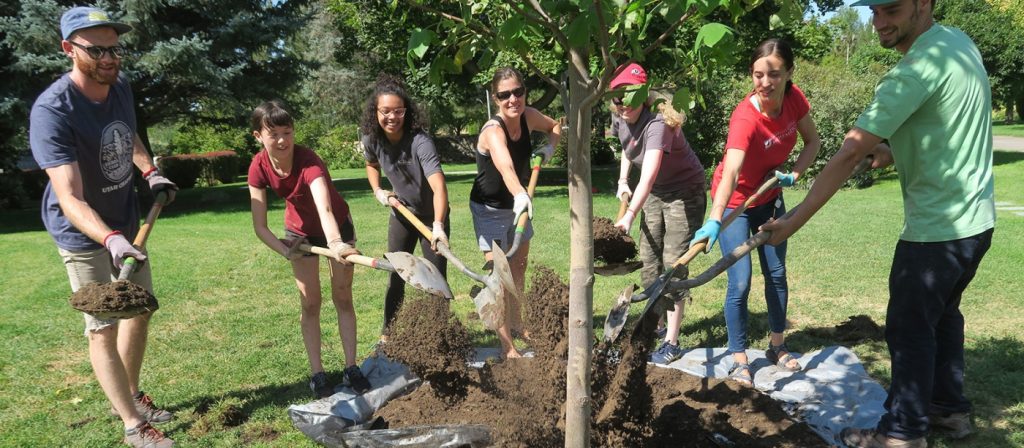 Photo of community members in summer clothing shoveling dirt onto the base of a tree as part of Tree Utah's tree planting events.