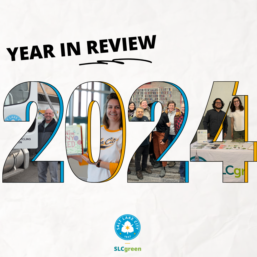 Our 2024 Year In Review Highlights Sustainability