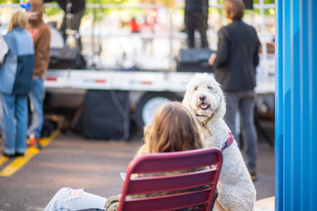 A dog and its owner enjoying live music at the Green Loop.