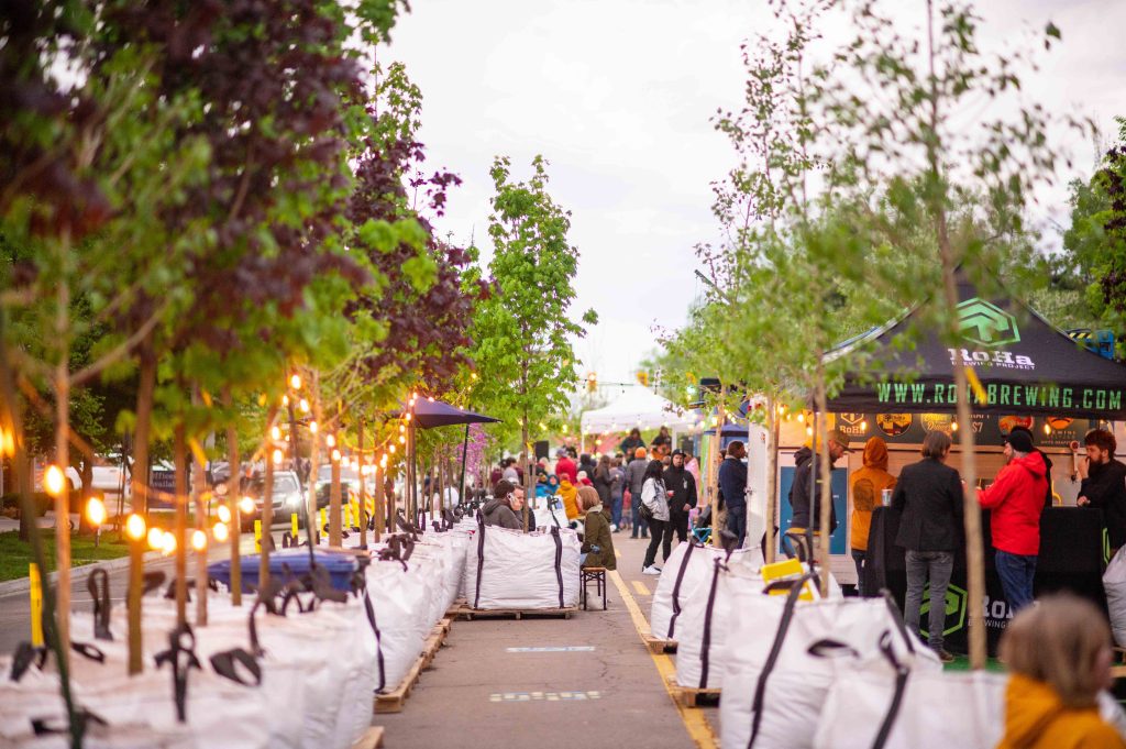 A row of trees planted in large white bags. There are string lights hung from the outer row of trees at the boundary of the Green Loop.