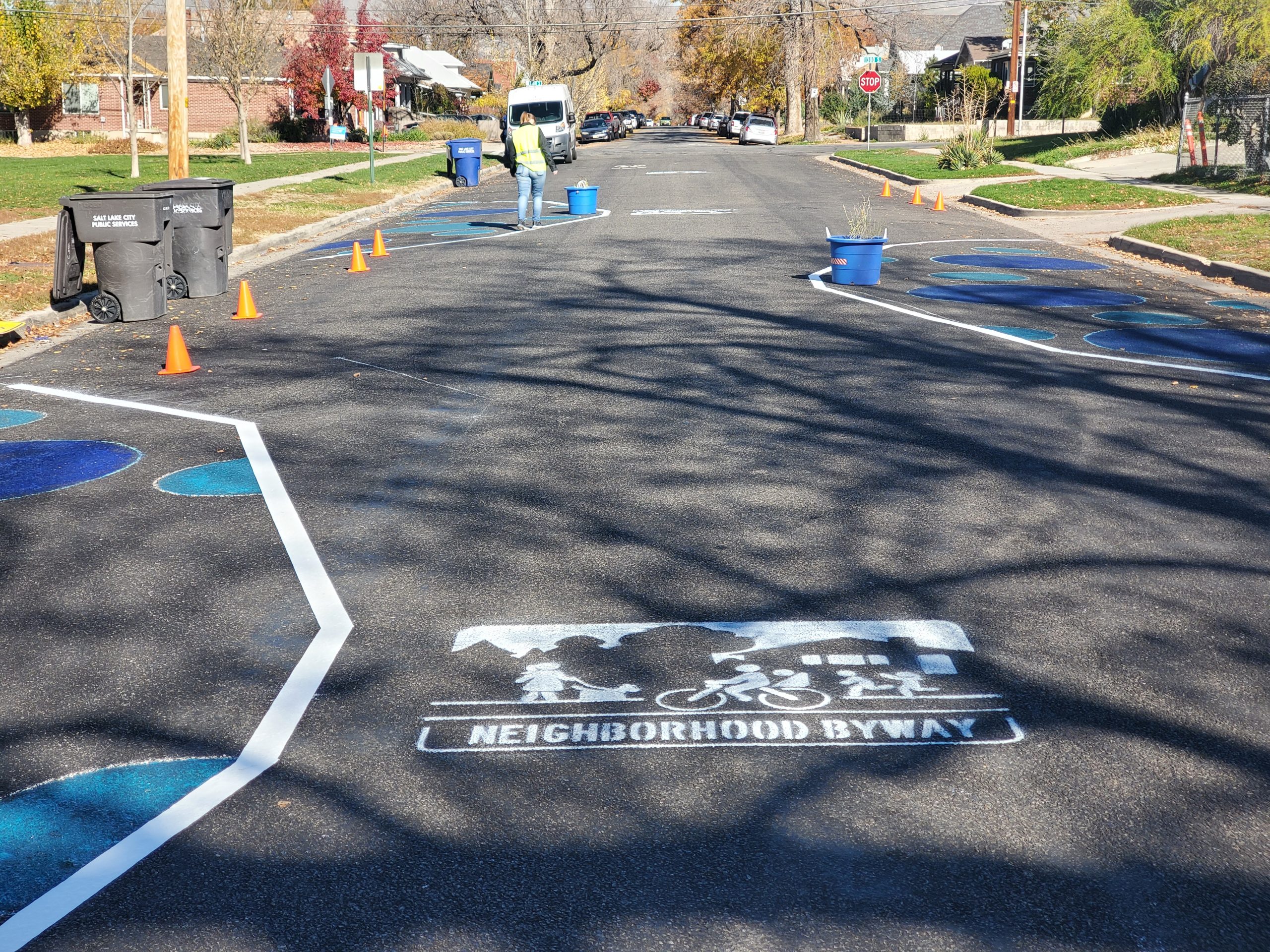 A picture of 800 East with a temporary painted chicane and small potted plants in the street.