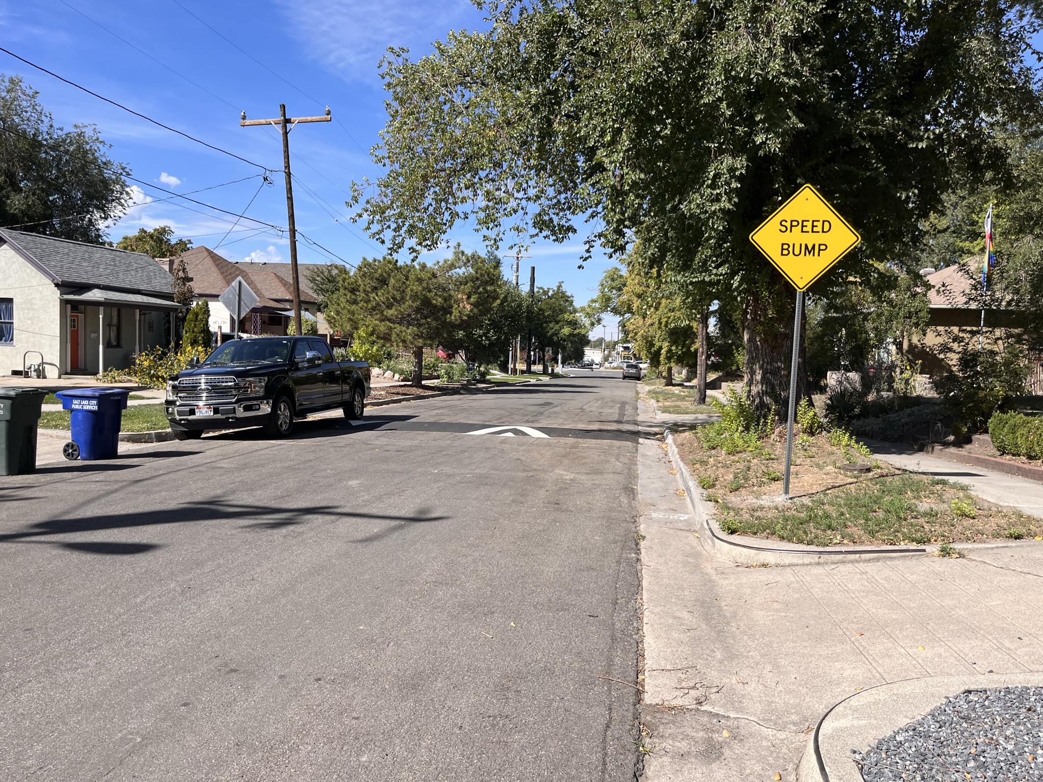 A picture of a speed hump and speed bump sign in the Capitol Hill neighborhood.