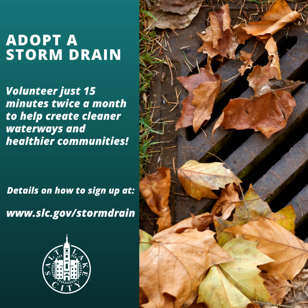 Manage Election Anxiety: Watch Post 10 Unclog Storm Drains