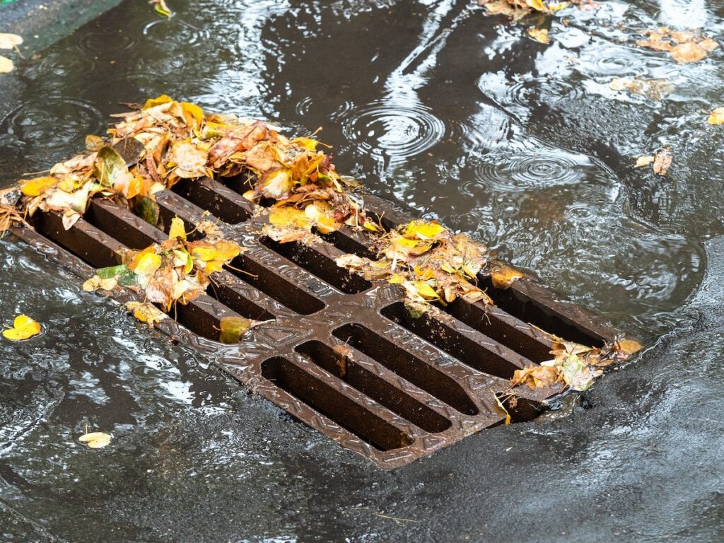 Storm drain clogged with fall leaves during rain event 